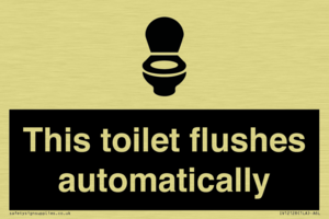 This toilet flushes automatically